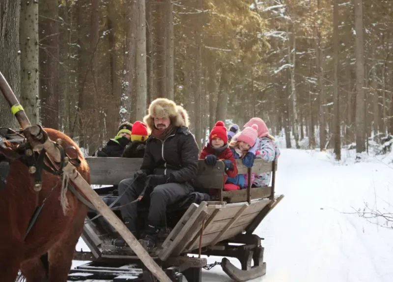 Fotorelacja z zimowych półkolonii 2026 - Język Angielski Dla Dzieci Białystok